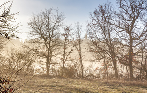 Clocher de l'église Saint Sauveur de Villeneuve sur Vère sorti de la brume.