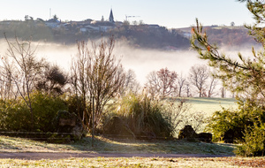 Eglise Saint Sauveur et le village de Villeneuve sur Vère au dessus de la brume sur la Vère.