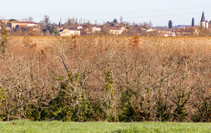 Vue sur Virac et son église Saint Victor avec un clocher particulier