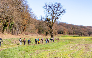 Le long du ruisseau de la Mouline 