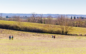 Au bas du  Pigné 