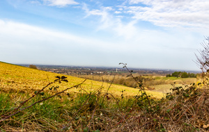 Chemin de Crouzille, vue en direction de Pins-Justaret