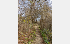 Chemin dans un vallon, le long du ruisseau Notre Dame