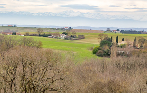 Campagne des coteaux dans la direction de  Auterive, Pyrénées au loin