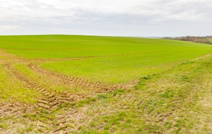 Chemin des Tailladettes