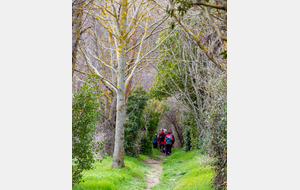 Chemin de Cabanes