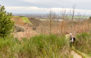 Chemin de Marcounat pour rejoindre le Tumulus 