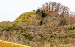 Le Tumulus vu du chemin de la Pouzaque