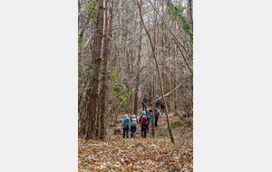 Sortie de Camp Redon difficile  de trouver le sentier 