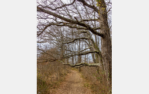 Chemin St Roch 