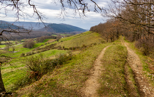 Chemin St Roch en crête vue sur la vallée du Touyre