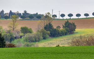 Vue de Bordeneuve dans la direction du village des marques de Nailloux