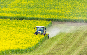 Travaux des champs  du côté de Bordeneuve