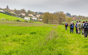 Coulée verte d'En Touloiuse, Nailloux en arrière plan