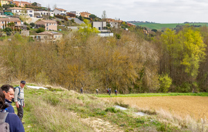 Nailloux: chemin de Bellecoste 