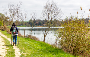 Cheminement sur la rive du lac de la Thésauque