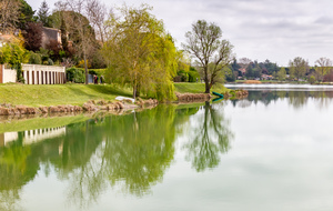 Rive du lac de la Thésauque