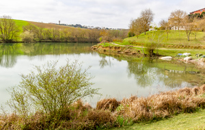 Rive du lac de la Thésauque vers la vasière