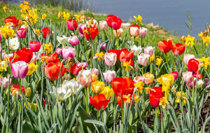 Le printemps au bord du lac de la Thésauque