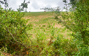 Passage du rouleau!