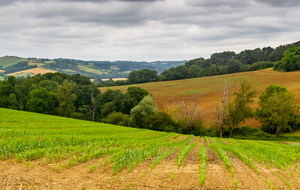 Du côté de Saranbarbe, vue en direction du Fossat