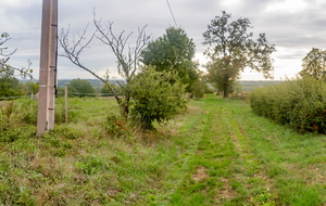 68d008b25298e_IMG0745P.JPG