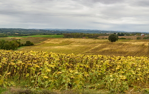 Vue direction sud-ouest au niveau du Tucq