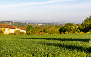 Le Lauragais au petit matin