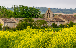 Eglise St Pierre d'Alzonne