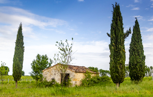 Abri de Vigneron