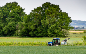 Vue vers l'Ouest: travail de la vigne