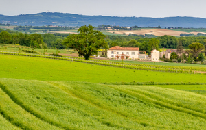 Vue vers le nord-ouest