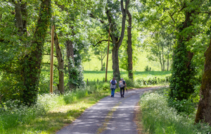 Chemin de Peyrolles