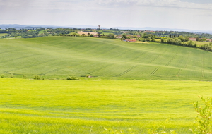 Sur le PR  vue vers le sud-est
