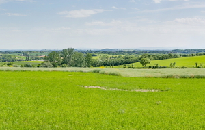 D31 route de Naussens, vue vers l'est, sud-est