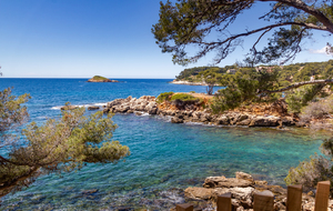 Bandol: Parc du Capelan, vue la presqu'ile du Capelan, l'ile rousse au large