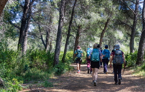 Bandol:  sentier des Engraviers