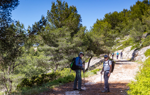 Montée vers le Mont de Luminy