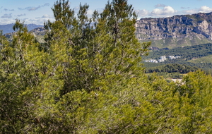 De Marseille à Luminy avec les Monts de la Gineste