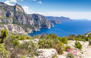 Sur le sentier des crêtes de Morgiou, vue sur la côte des Calanques jusqu'au Bec de l'Aigle avant La Ciotat. L'aiguille de Sugiton à gauche. L'entrée de la Calanque de Sugiton à son pied
