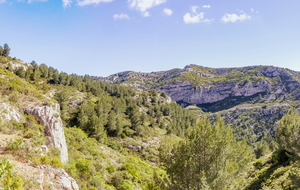 Dans la montée vers le retour au domaine de Luminy vue sur la crête de Morgiou au deuxième plan