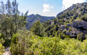 Dans la montée vers le retour au domaine de Luminy vue sur la crête de Morgiou