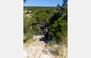 Descente vers le fond de la calanque de Port Miou par le sentier