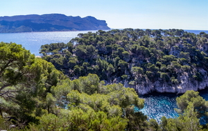 En arrière plan les falaises de Cassis et le Cap Canaille. Au premier plan la presqu'ile de la Cacau