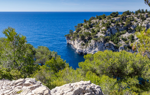 Entrée de la calanque d'En Vau vue de sa rive gauche