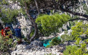 Surplomb de la plage de la calanque d'En Vau