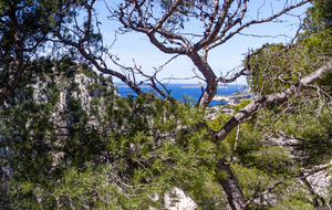Au second plan, l'ile Plane, l'ile de Jarre et la Pointe de l'Îlot à droite