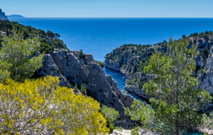 La Calanque d'En Vau, la plus impressionnante.