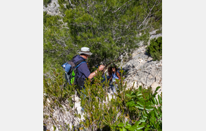 Sentier de descente périlleuse  dans la calanque