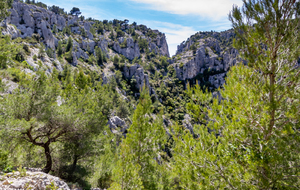 Déjà bien remonté, dans notre dos la brèche de Castel Vieil.
